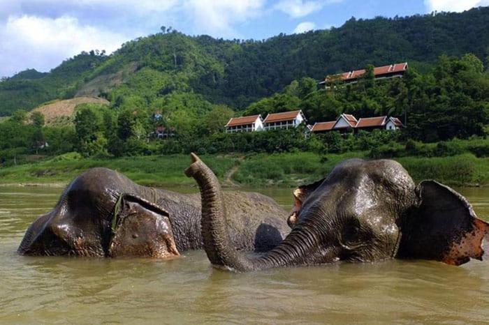Inn Riverside Hostel Pb Muang Pakbèng Eksteriør billede
